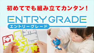 ENTRY GRADE