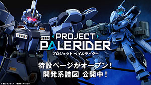 PROJECT PALERIDER