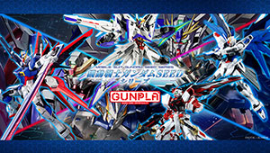 機動戦士ガンダムSEED
