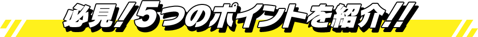 見どころ満載!5つのポイントを紹介!!