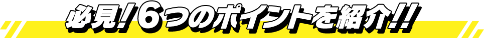 見どころ満載!8つのポイントを紹介!!