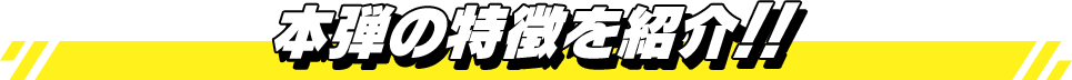 本弾の特徴をご紹介!