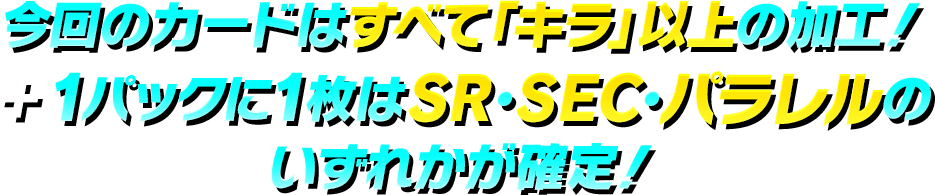 必見！全５つのポイントを紹介！！