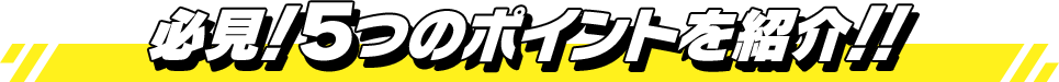 必見!全5つのポイントを紹介!!
