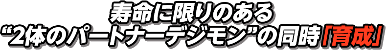 寿命に限りのある“2体のパートナーデジモン”の同時「育成」