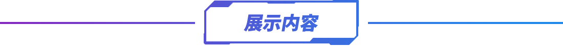 展示内容