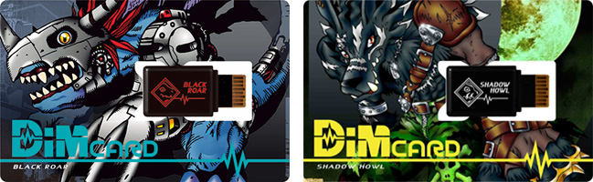 Dimカード