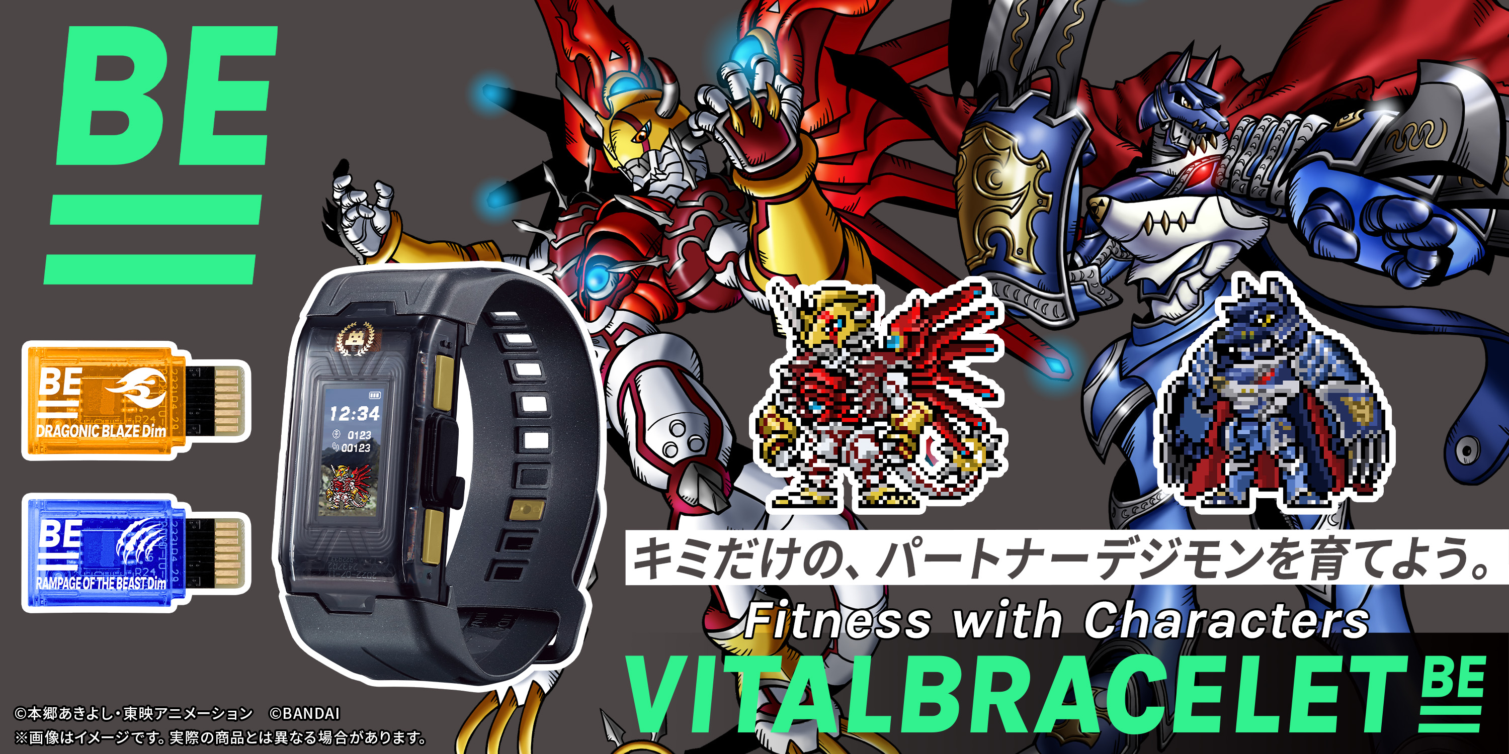 VITALBRACELET BE